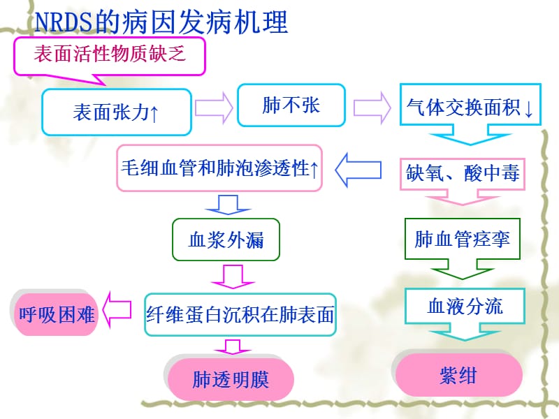 新生儿呼吸窘迫综合征.ppt_第3页