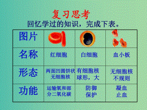 七年級(jí)生物下冊(cè) 4.2 血流的管道—血管課件 新人教版.ppt