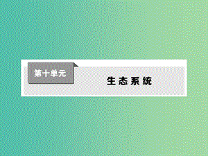 高考生物第一輪復(fù)習(xí) 第十單元 生態(tài)系統(tǒng)課件 新人教版.ppt