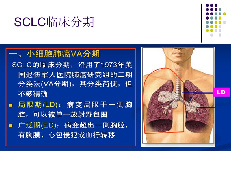 小细胞肺癌2016指南解读.ppt_第3页