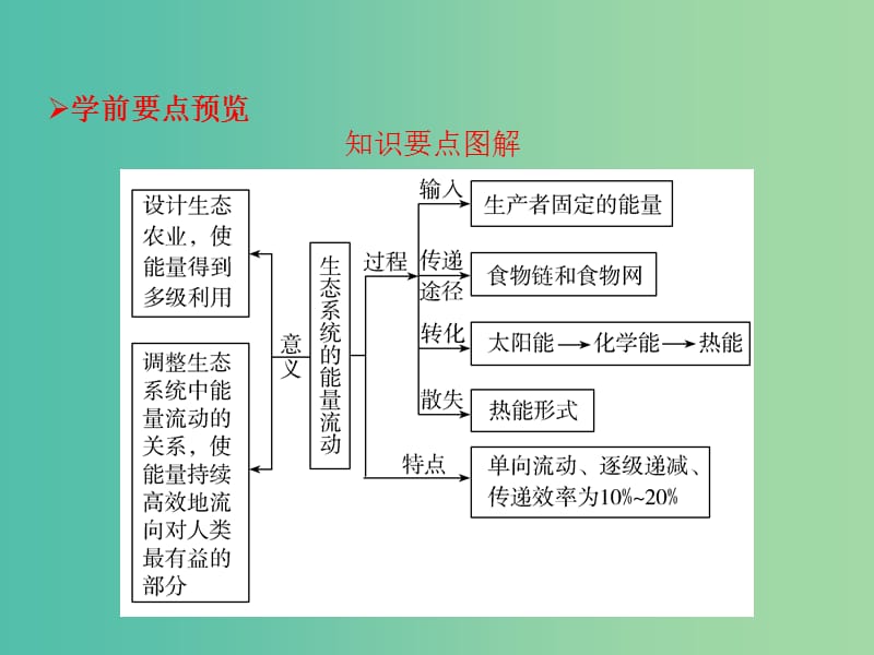 高中生物 第五章 生态系统及其稳定性 第2节 生态系统的能量流动课件 新人教版必修3.ppt_第2页