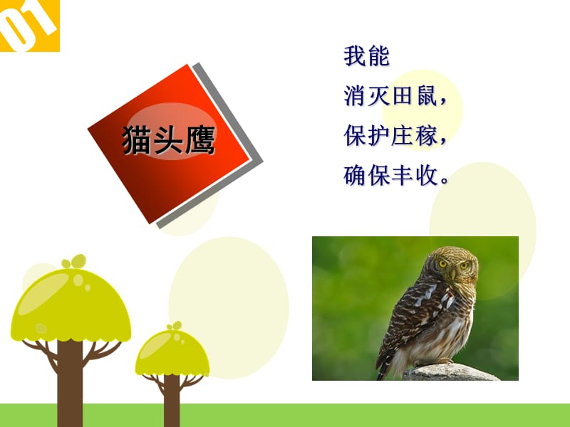 善待动物,预防伤害.ppt_第3页