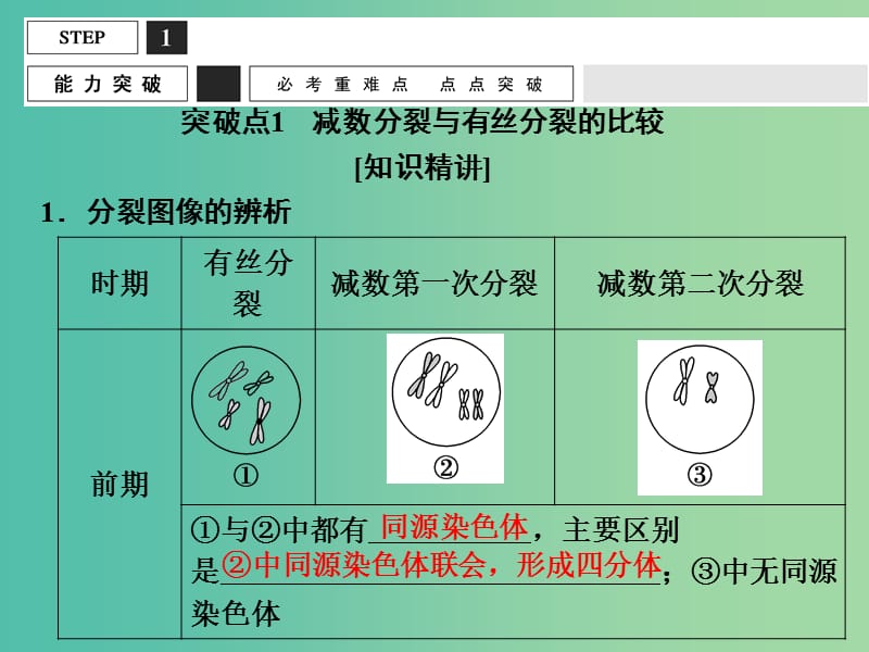 高考生物一轮复习 有丝分裂与减数分裂的比较及减数分裂与可遗传变异的关系课件.ppt_第2页