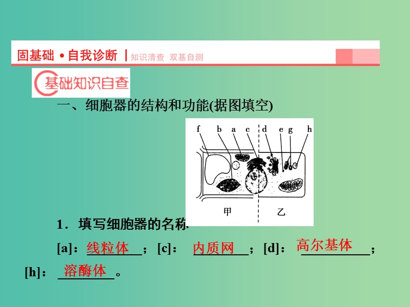 高考生物第一轮复习 第二单元 第2讲 细胞器-系统内的分工合作课件 新人教版必修1.ppt_第2页