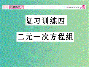 七年級(jí)數(shù)學(xué)下冊(cè) 復(fù)習(xí)訓(xùn)練四 二元一次方程組課件 新人教版.ppt