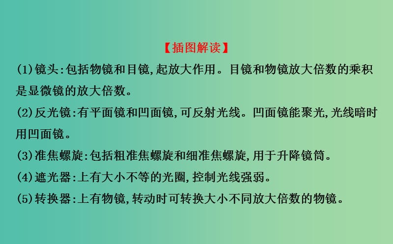 七年级生物上册 2.1.1 练习使用显微镜课件 新人教版.ppt_第3页