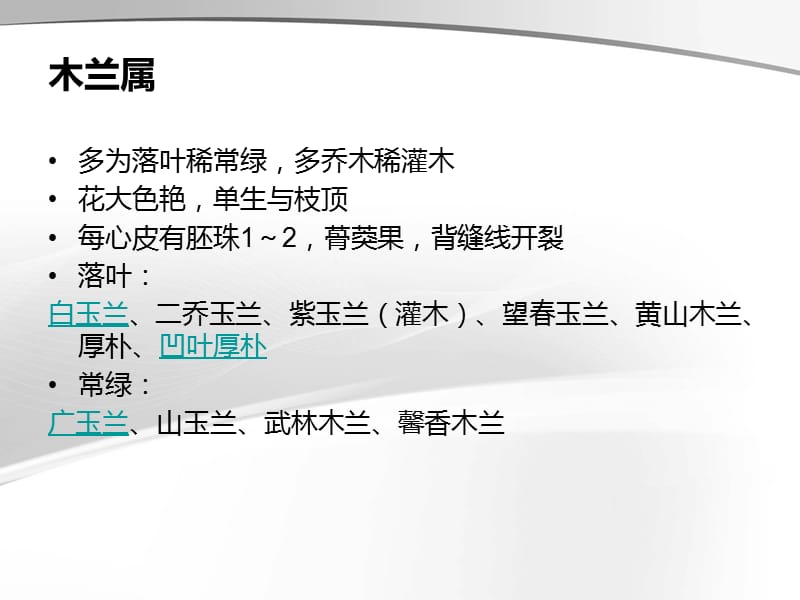 常见木兰科植物的识别.ppt_第3页