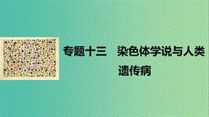 高考生物二輪復(fù)習(xí) 專(zhuān)題十三 染色體學(xué)說(shuō)與人類(lèi)遺傳病課件.ppt