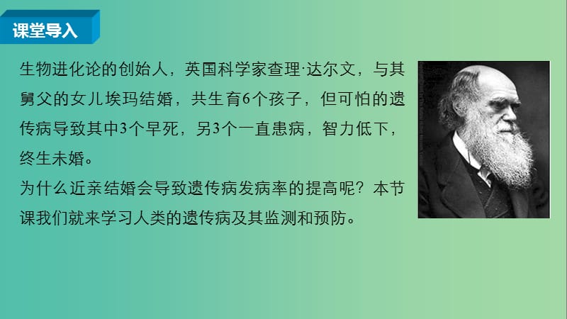 高中生物 5.3 人类遗传病课件 新人教版必修2.ppt_第3页