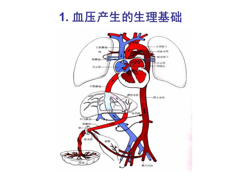 医疗仪器设计流程.ppt_第2页