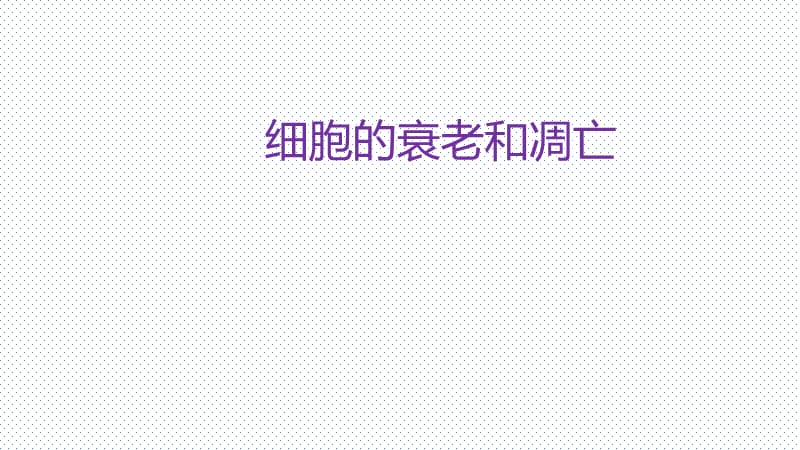 生物说课生物学中的生命观念.ppt_第1页