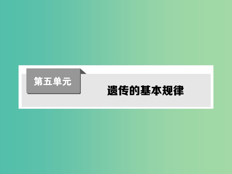 高考生物第一轮复习 第五单元 遗传的基本规律课件 新人教版.ppt_第1页