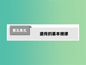 高考生物第一輪復(fù)習(xí) 第五單元 遺傳的基本規(guī)律課件 新人教版.ppt