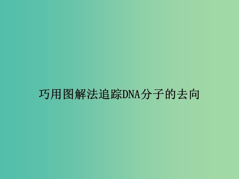 高考生物一轮复习 巧用图解法追踪DNA分子的去向课件.ppt_第1页