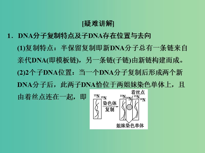 高考生物一轮复习 巧用图解法追踪DNA分子的去向课件.ppt_第2页