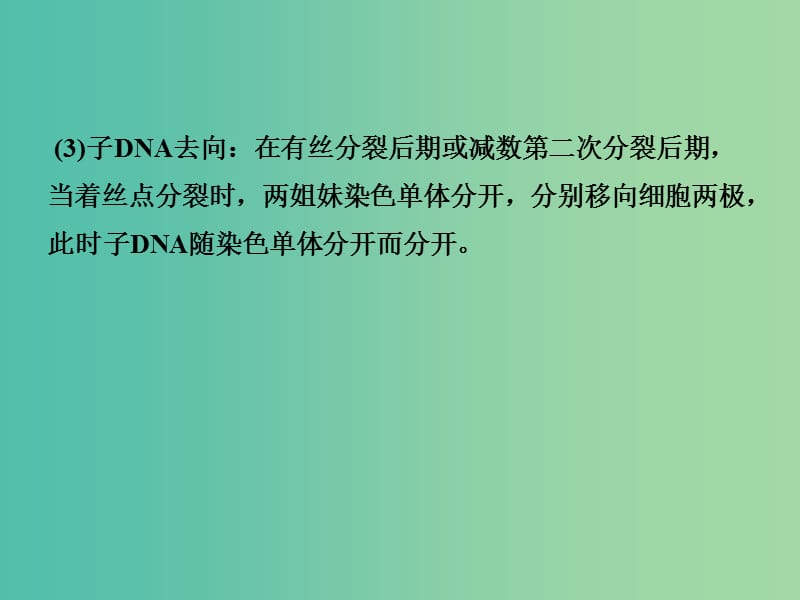 高考生物一轮复习 巧用图解法追踪DNA分子的去向课件.ppt_第3页