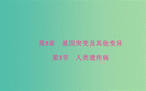 高中生物 第5章 基因突變及其他變異 第3節(jié) 人類遺傳病課件 新人教版必修2.ppt