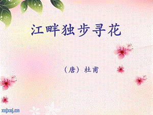 古詩《江畔獨步尋花》.ppt