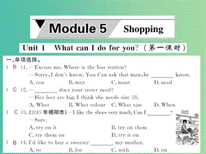 七年級(jí)英語(yǔ)下冊(cè) Module 5 Shopping Unit 1 What can I do for you（第1課時(shí)）課件 （新版）外研版.ppt