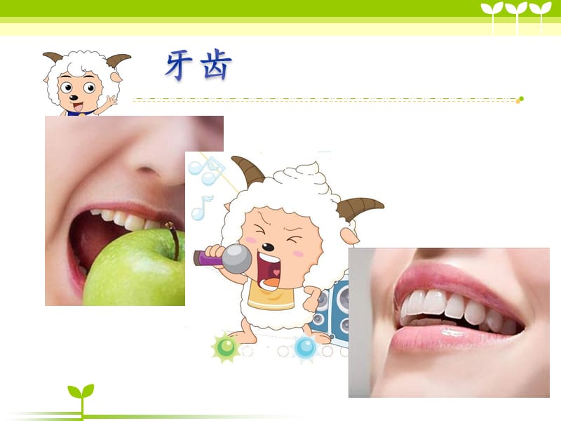 幼儿园健康知识讲座.ppt_第2页