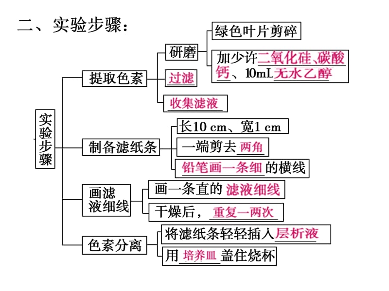 叶绿素的提取和分离.ppt_第3页