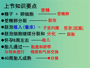 七年級生物下冊 1.3 青春期課件 新人教版.ppt