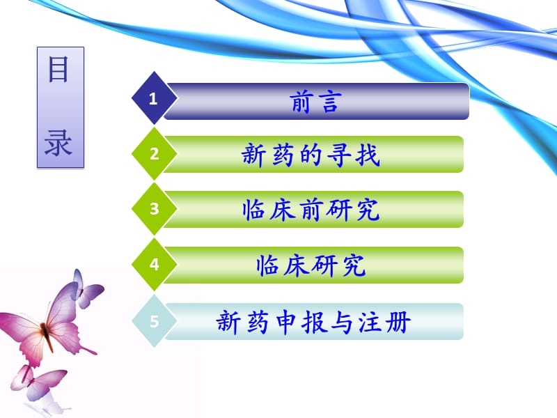 板蓝根颗粒开发方案.ppt_第2页