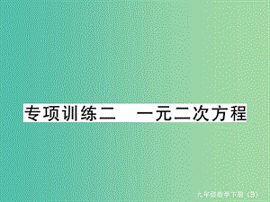 九年級數(shù)學(xué)下冊 專項訓(xùn)練二 一元二次方程習(xí)題課件 （新版）北師大版.ppt