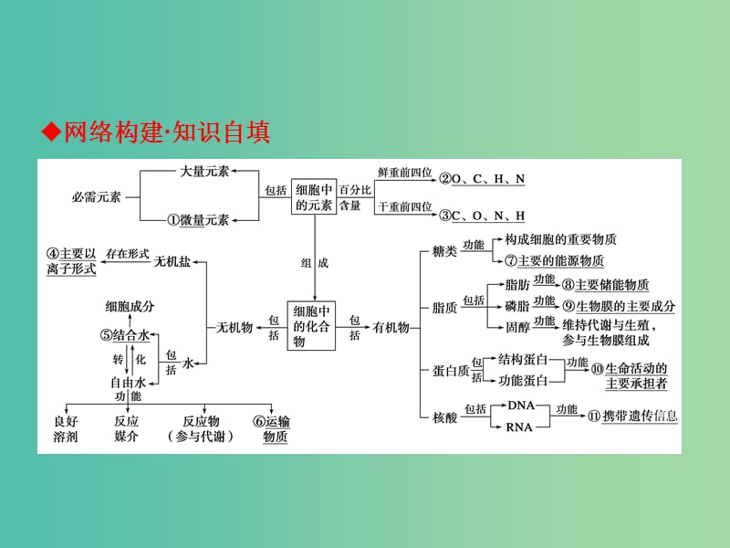 高考生物二轮复习 专题一 组成细胞的分子课件 新人教版必修1.ppt_第3页