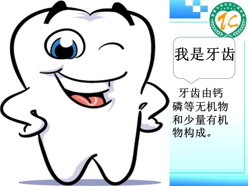 儿童牙齿保健讲课.ppt_第2页