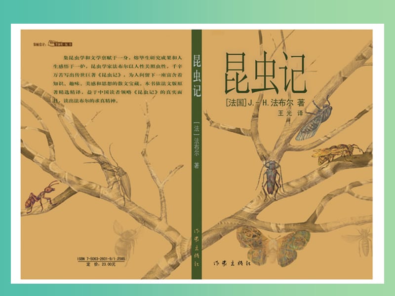 七年级语文上册 23《 绿色蝈蝈》课件 （新版）新人教版.ppt_第1页