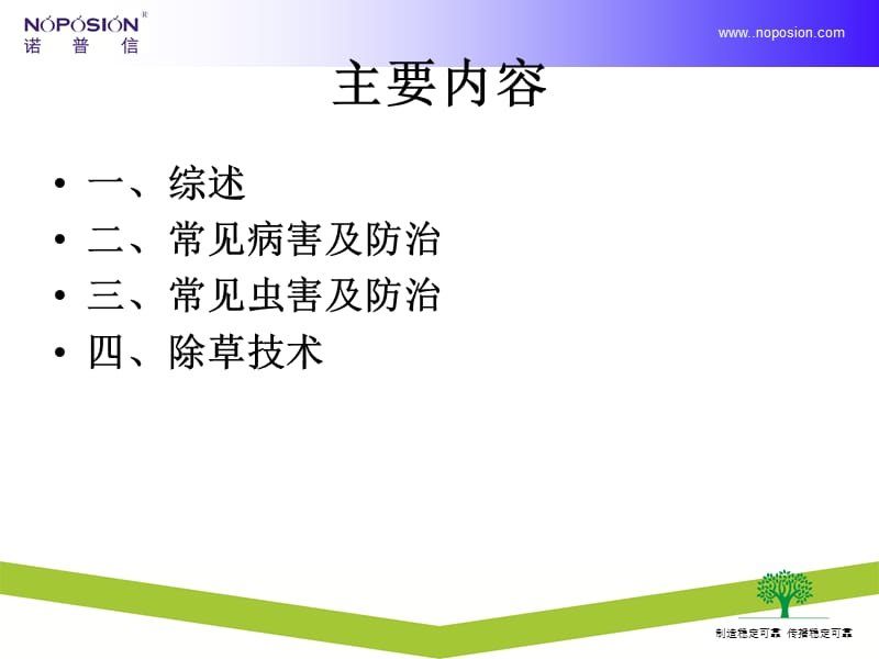 叶菜类病虫害植保知识.ppt_第2页