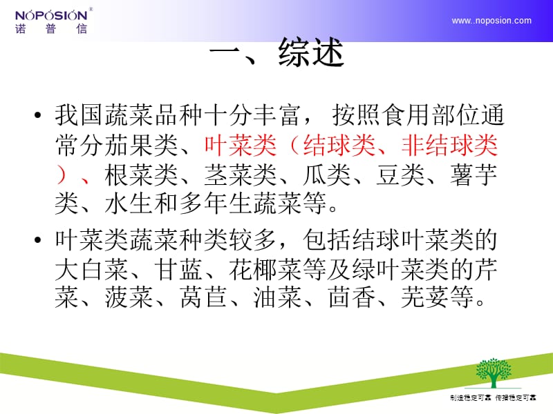 叶菜类病虫害植保知识.ppt_第3页