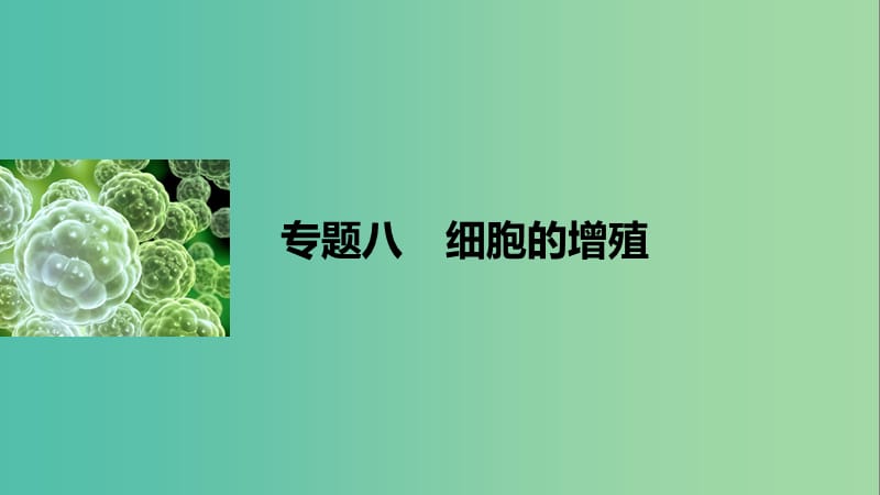 高考生物二轮复习 专题八 细胞的增殖课件.ppt_第1页