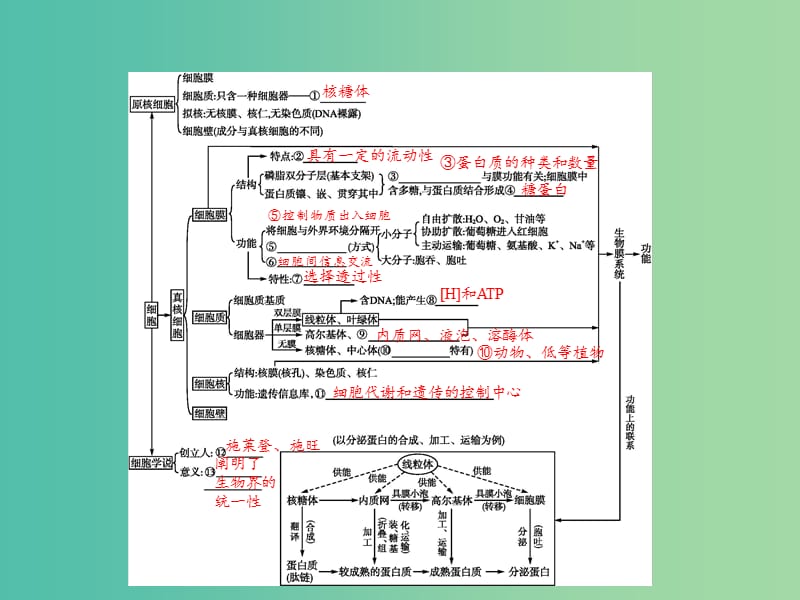 高考生物二轮复习 专题1 细胞的分子组成和结构 2 细胞的基本结构和物质出入细胞的方式课件.ppt_第3页