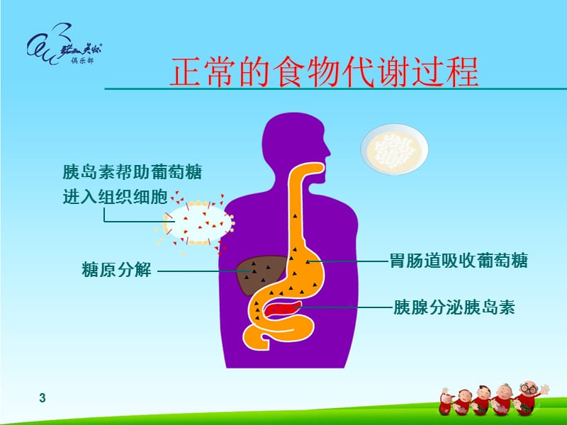 糖尿病健康知识讲座.ppt_第3页