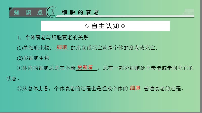 高中生物 第6章 细胞的生命历程 第3、4节 细胞的衰老和凋亡、细胞的癌变课件 新人教版必修1.ppt_第3页