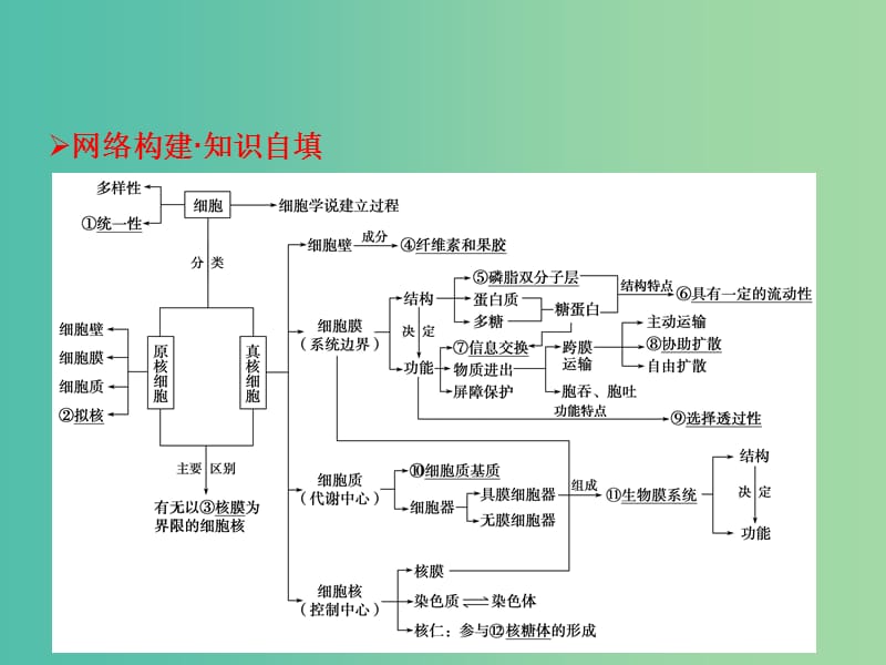 高考生物二轮复习 专题二 细胞的基本结构课件 新人教版必修1.ppt_第3页