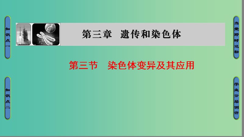 高中生物 第3章 遗传和染色体 第3节 基因的自由组合定律课件 苏教版必修2.ppt_第1页