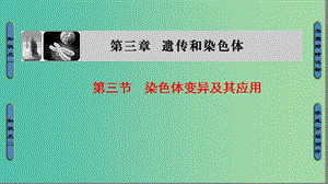 高中生物 第3章 遺傳和染色體 第3節(jié) 基因的自由組合定律課件 蘇教版必修2.ppt