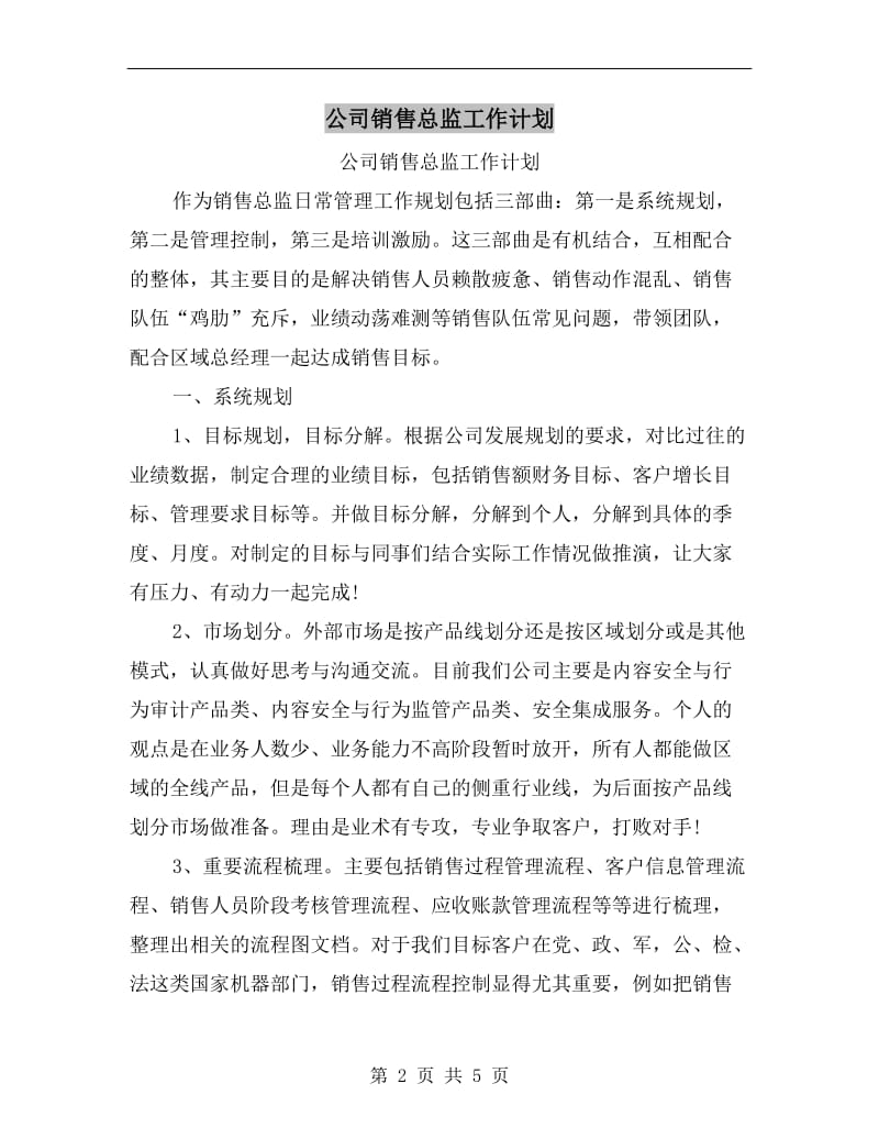 公司销售总监工作计划A.doc_第2页