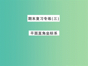 七年級數(shù)學下學期期末復習專練（三） 平面直角坐標系課件 新人教版.ppt