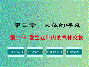 七年級生物下冊 第三章 第二節(jié) 發(fā)生在肺內的氣體交換課件 （新版）新人教版.ppt