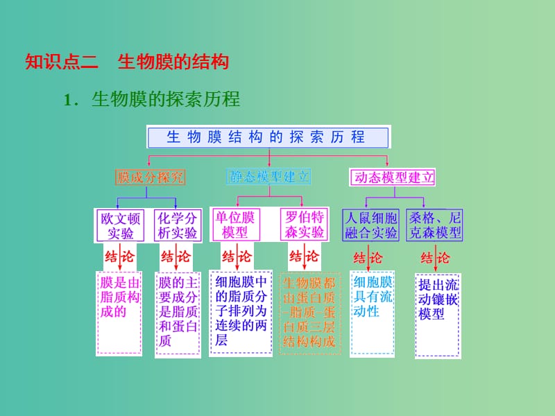 高考生物一轮复习 第二单元 第1讲 细胞膜与细胞核（含生物膜的流动镶嵌模型）课件 新人教版必修1.ppt_第3页