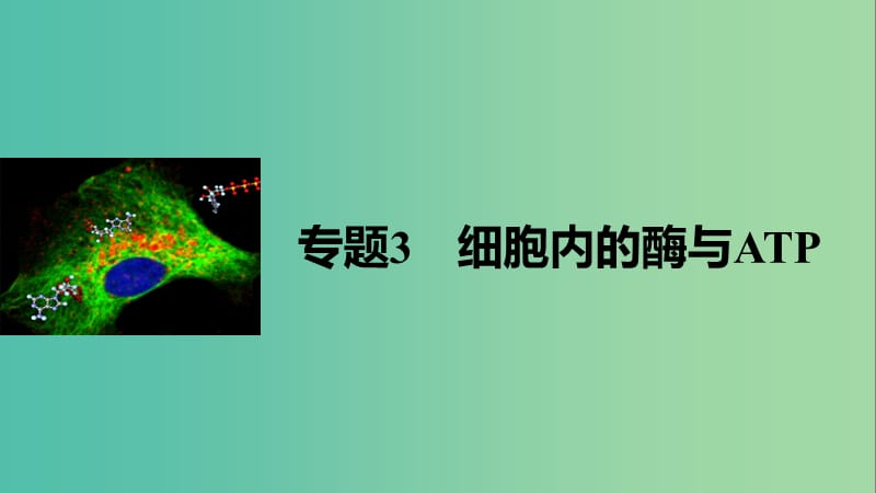 高考生物大二轮专题复习与增分策略 专题3 细胞内的酶与ATP课件.ppt_第1页