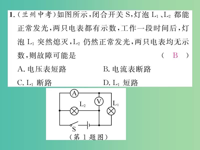 九年级物理下册 专题九 电路故障分析课件 （新版）教科版.ppt_第2页