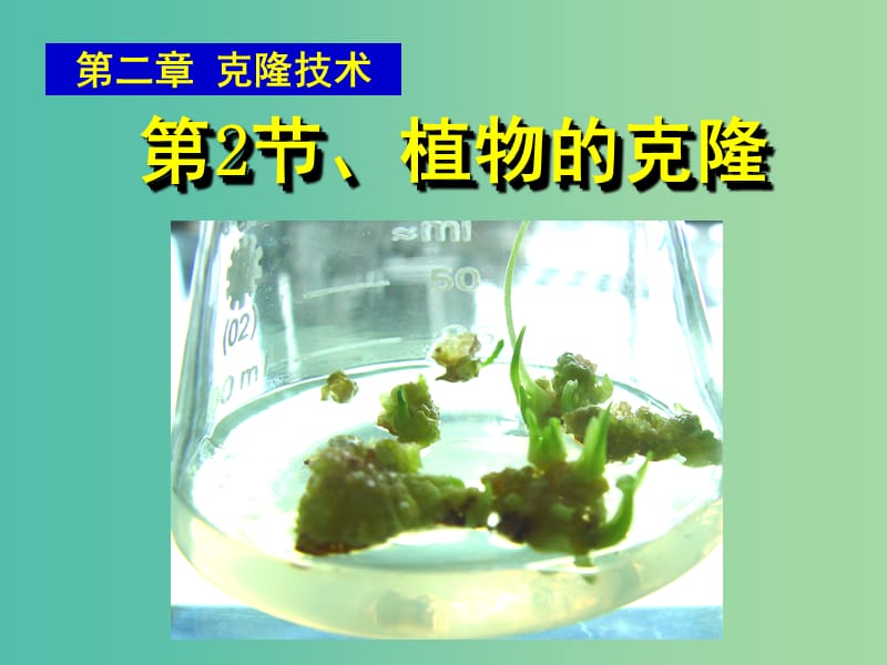 高中生物 第二章 第2节 植物的克隆课件 浙教版必修3.ppt_第1页