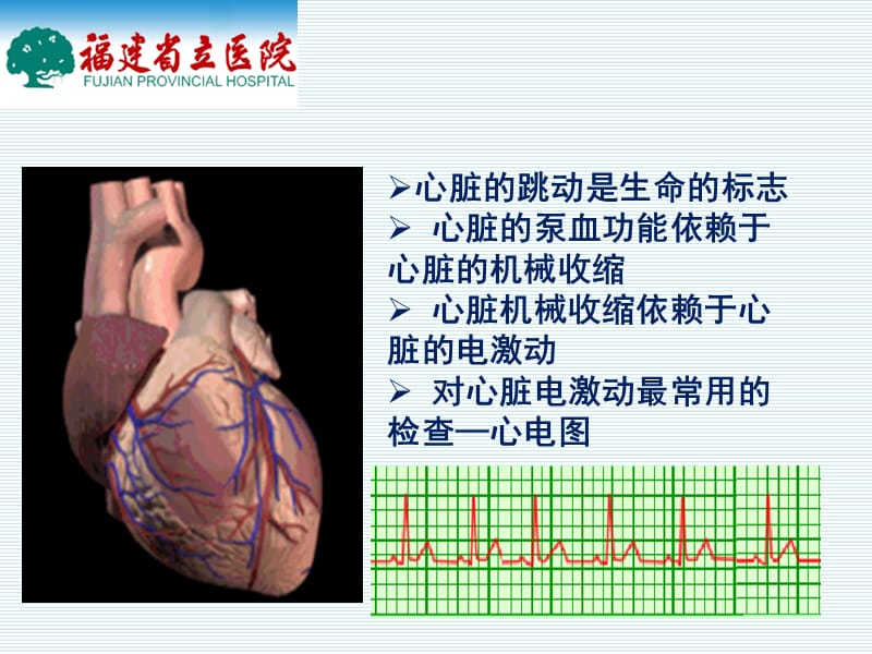 常见心电图及心电图危急值认识.ppt_第3页