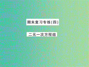 七年級數(shù)學(xué)下學(xué)期期末復(fù)習(xí)專練（四） 二元一次方程組課件 新人教版.ppt