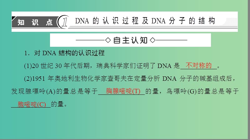 高中生物 第4章 遗传的分子基础 第2节 DNA分子的结构和复制（第1课时）DNA分子的结构课件 苏教版必修2.ppt_第3页